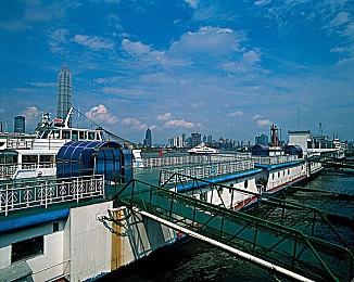 《宝可梦：朱紫》2025日本锦标赛公布 为期近半年