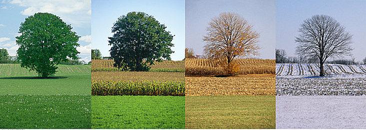 《风火轮2：爆发》销量低于预期 但实现正面投资回报